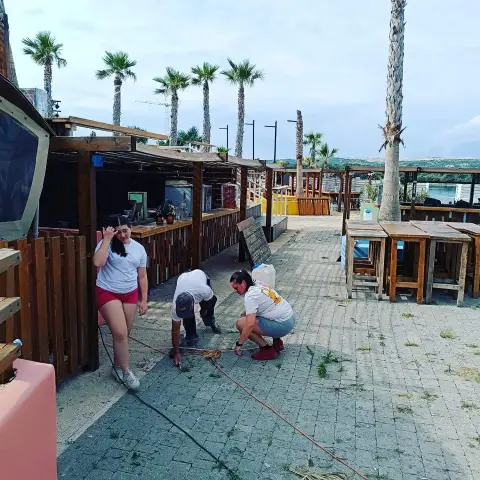 Papaya — team cleaning an outdoor floor